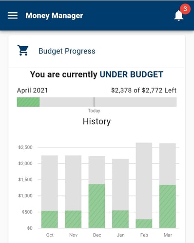 My Money Manager budget example